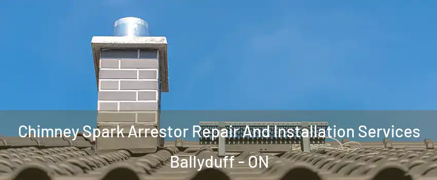  Chimney Spark Arrestor Repair And Installation Services Ballyduff - ON