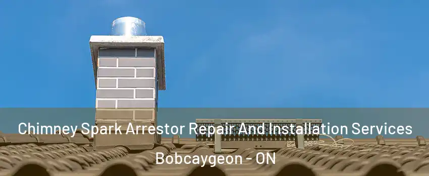  Chimney Spark Arrestor Repair And Installation Services Bobcaygeon - ON