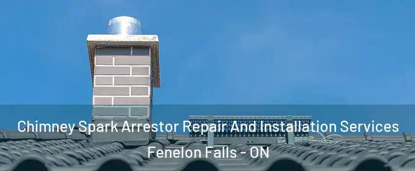  Chimney Spark Arrestor Repair And Installation Services Fenelon Falls - ON