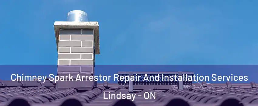  Chimney Spark Arrestor Repair And Installation Services Lindsay - ON