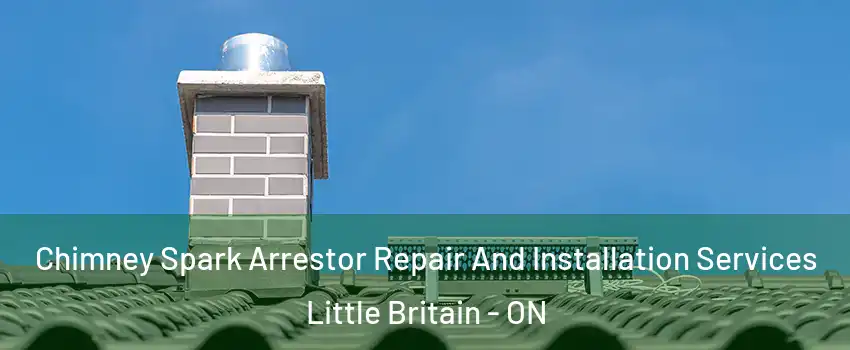  Chimney Spark Arrestor Repair And Installation Services Little Britain - ON