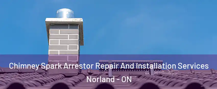  Chimney Spark Arrestor Repair And Installation Services Norland - ON