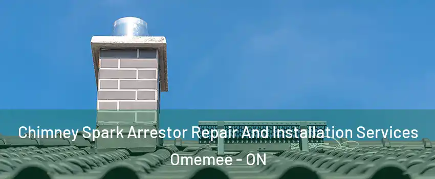 Chimney Spark Arrestor Repair And Installation Services Omemee - ON