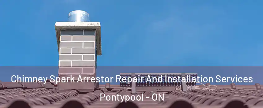  Chimney Spark Arrestor Repair And Installation Services Pontypool - ON