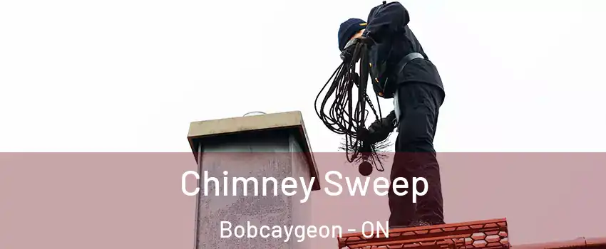  Chimney Sweep Bobcaygeon - ON