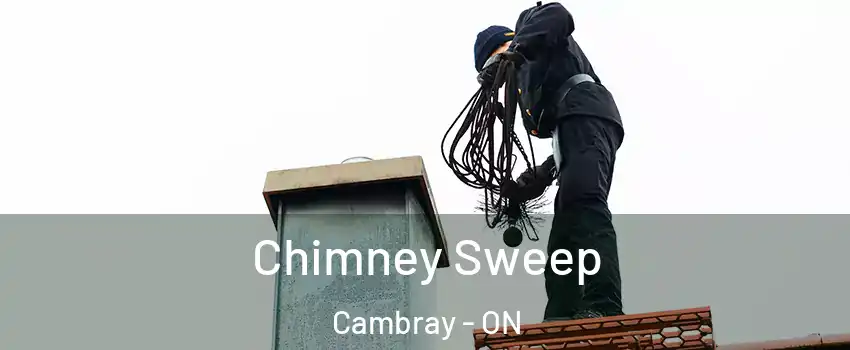  Chimney Sweep Cambray - ON