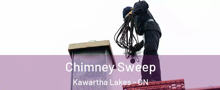  Chimney Sweep Kawartha Lakes - ON