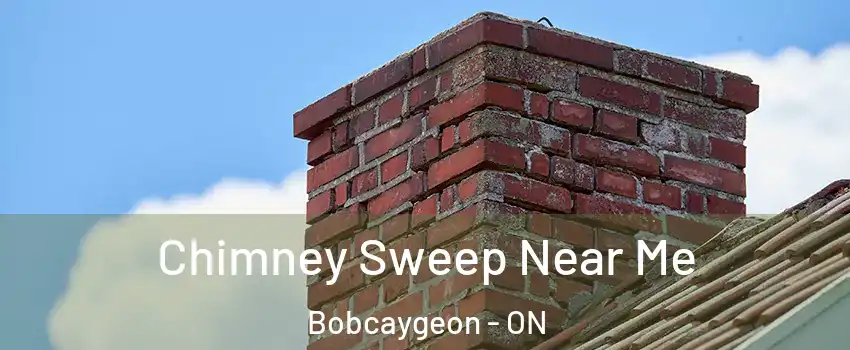  Chimney Sweep Near Me Bobcaygeon - ON