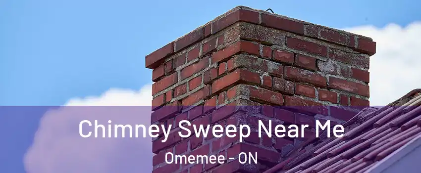  Chimney Sweep Near Me Omemee - ON