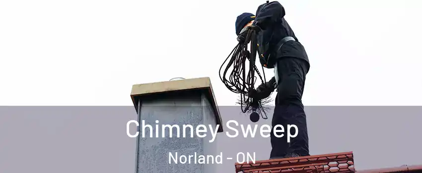  Chimney Sweep Norland - ON