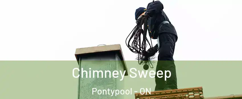  Chimney Sweep Pontypool - ON