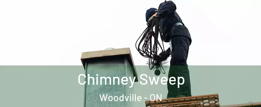  Chimney Sweep Woodville - ON
