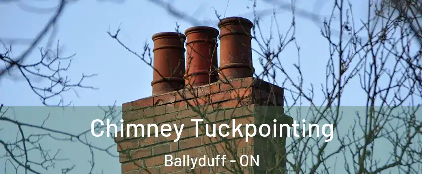  Chimney Tuckpointing Ballyduff - ON