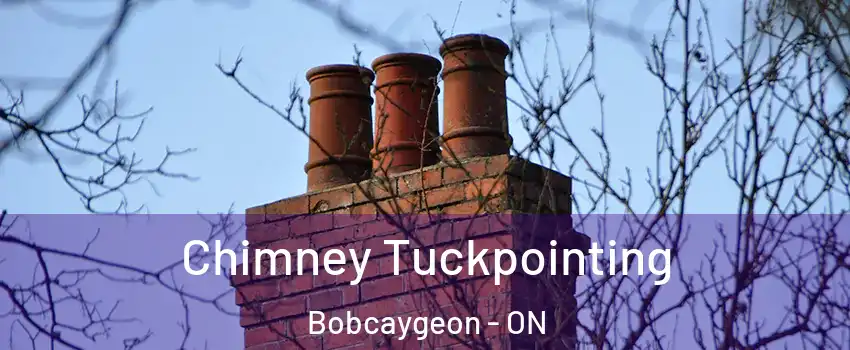  Chimney Tuckpointing Bobcaygeon - ON