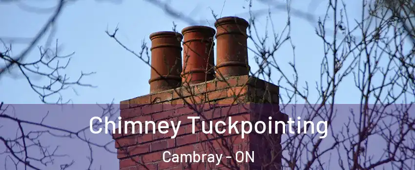  Chimney Tuckpointing Cambray - ON