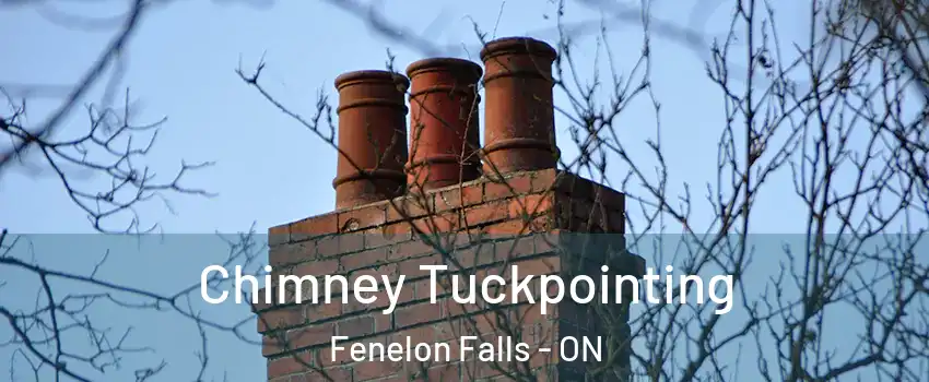  Chimney Tuckpointing Fenelon Falls - ON