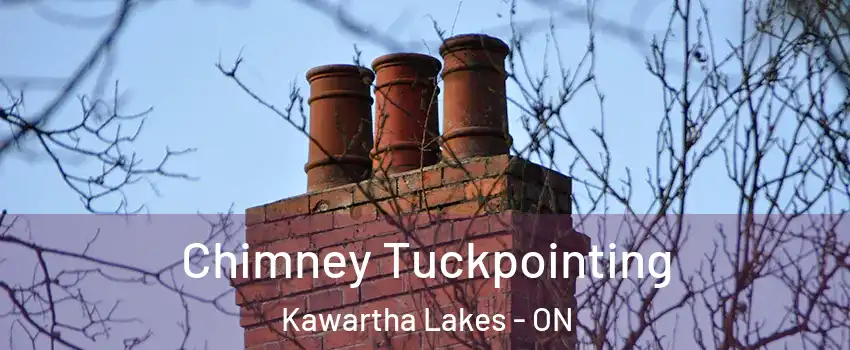  Chimney Tuckpointing Kawartha Lakes - ON