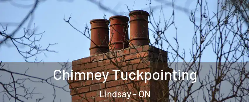  Chimney Tuckpointing Lindsay - ON