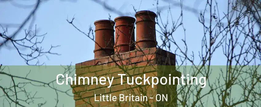 Chimney Tuckpointing Little Britain - ON