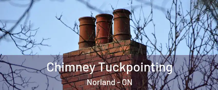  Chimney Tuckpointing Norland - ON