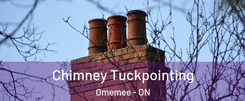  Chimney Tuckpointing Omemee - ON