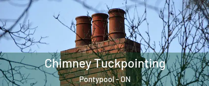  Chimney Tuckpointing Pontypool - ON