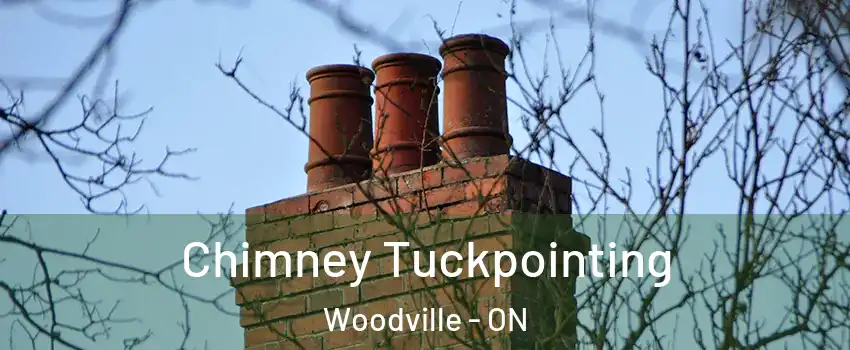  Chimney Tuckpointing Woodville - ON
