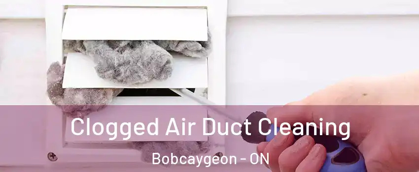  Clogged Air Duct Cleaning Bobcaygeon - ON