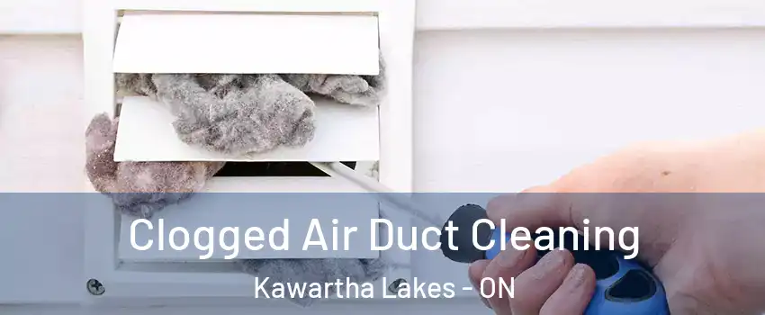  Clogged Air Duct Cleaning Kawartha Lakes - ON