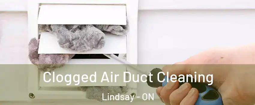  Clogged Air Duct Cleaning Lindsay - ON
