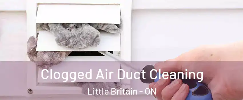  Clogged Air Duct Cleaning Little Britain - ON