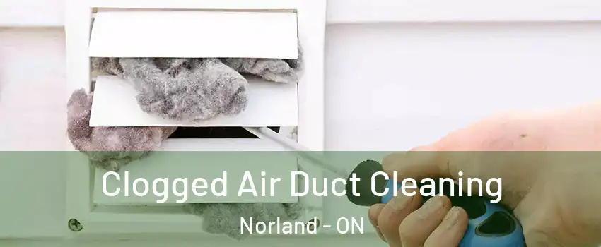  Clogged Air Duct Cleaning Norland - ON