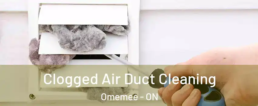  Clogged Air Duct Cleaning Omemee - ON