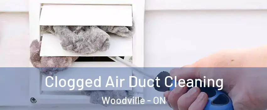  Clogged Air Duct Cleaning Woodville - ON