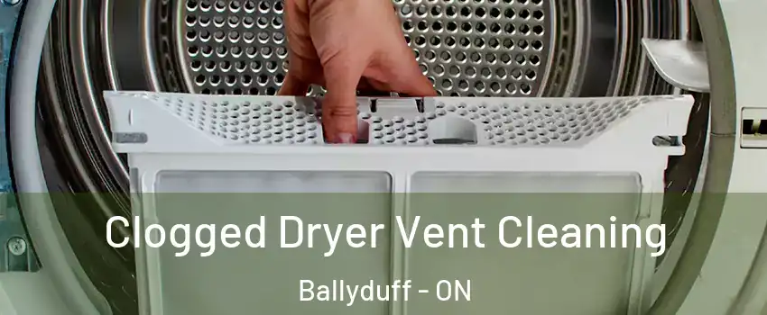  Clogged Dryer Vent Cleaning Ballyduff - ON