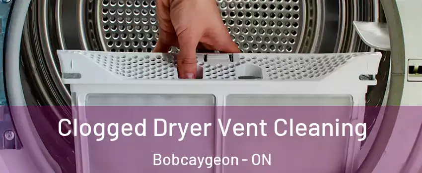  Clogged Dryer Vent Cleaning Bobcaygeon - ON