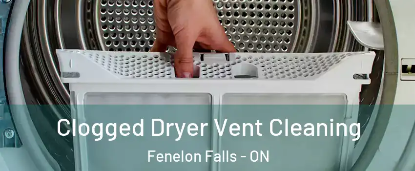  Clogged Dryer Vent Cleaning Fenelon Falls - ON