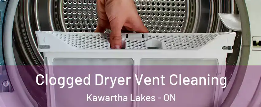  Clogged Dryer Vent Cleaning Kawartha Lakes - ON