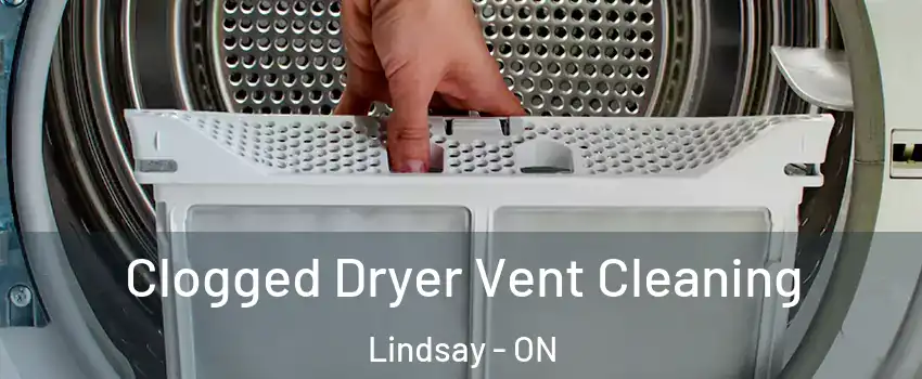  Clogged Dryer Vent Cleaning Lindsay - ON
