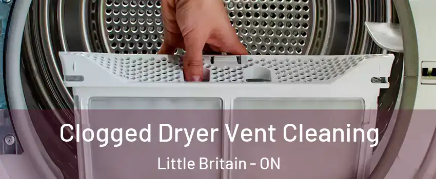  Clogged Dryer Vent Cleaning Little Britain - ON