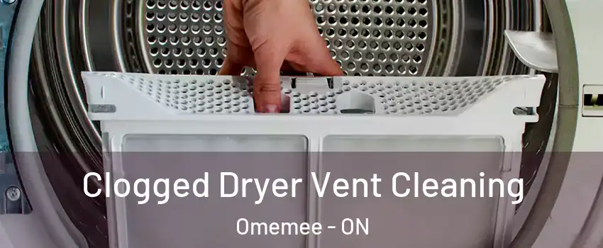  Clogged Dryer Vent Cleaning Omemee - ON