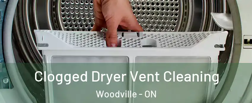  Clogged Dryer Vent Cleaning Woodville - ON