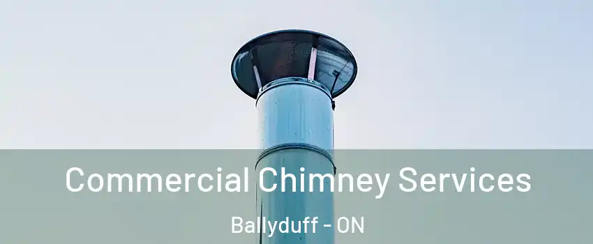  Commercial Chimney Services Ballyduff - ON