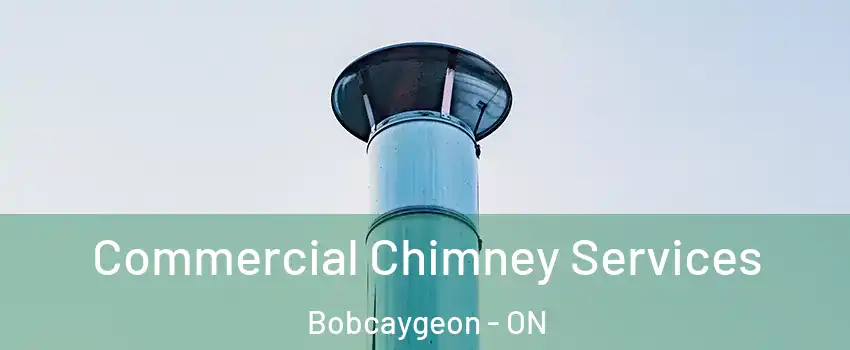  Commercial Chimney Services Bobcaygeon - ON