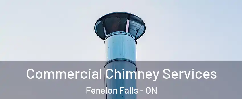 Commercial Chimney Services Fenelon Falls - ON