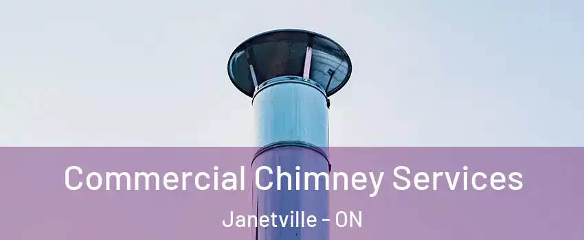  Commercial Chimney Services Janetville - ON