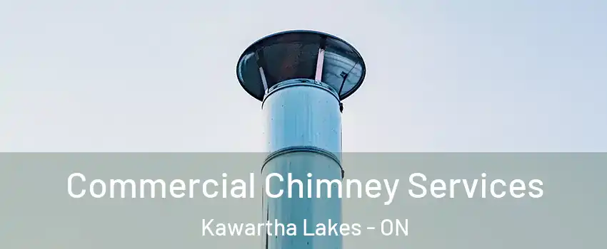  Commercial Chimney Services Kawartha Lakes - ON