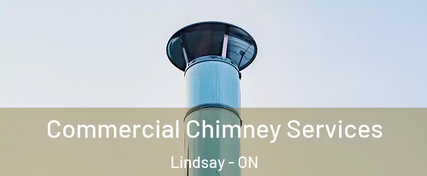  Commercial Chimney Services Lindsay - ON