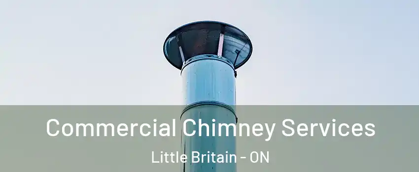  Commercial Chimney Services Little Britain - ON