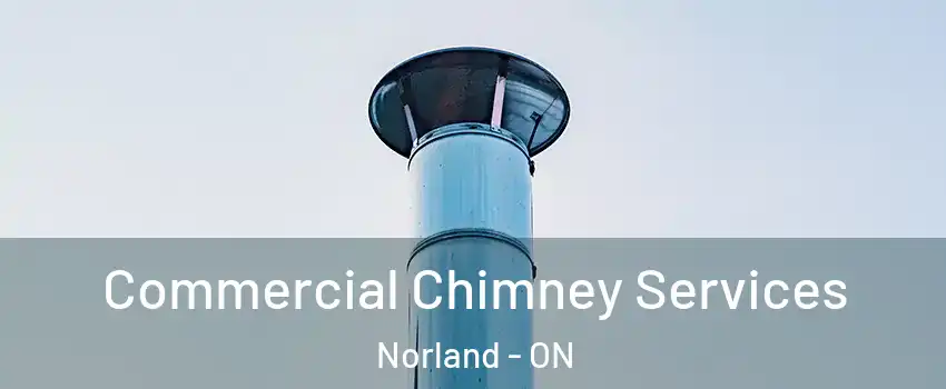  Commercial Chimney Services Norland - ON